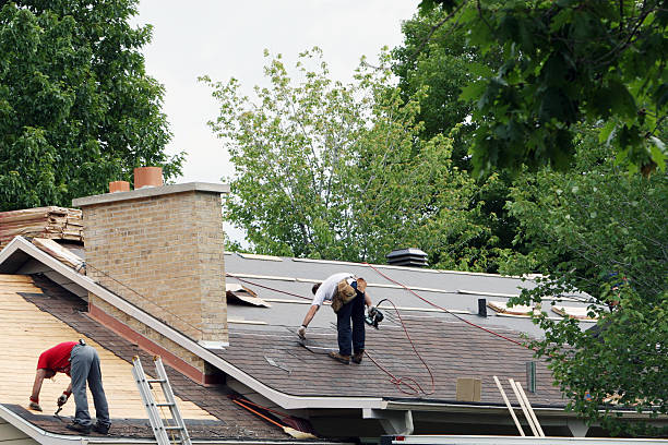 Best Roof Gutter Cleaning  in Covington, VA
